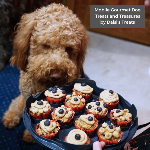 Mobile Gourmet Dog Treats and Treasures by Daisi’s Treats